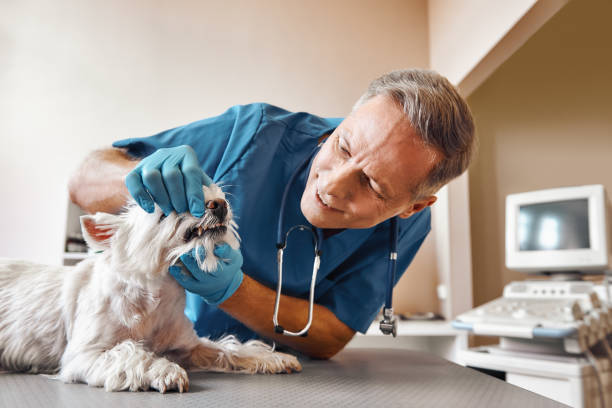 Best Same-Day Emergency Dental Services in Redstone Arsen, AL